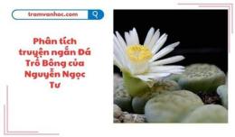 ảnh chụp màn hình đá trổ bông nguyễn ngọc tư