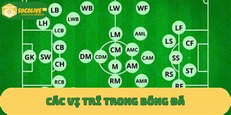 ảnh chụp màn hình tất cả vị trí trong bóng đá