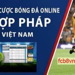 app ca do bong da