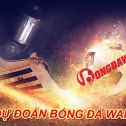bao du doan bong da