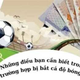 bắt cá độ bóng đá