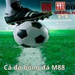 bong da 88 com