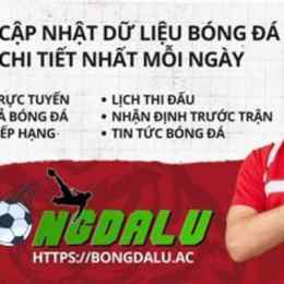 bóng đá lu 46
