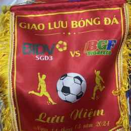 bóng đá lưu 40