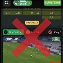 bún chả tv bóng đá trực tiếp