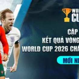 cá cược bóng đá vòng loại world cup