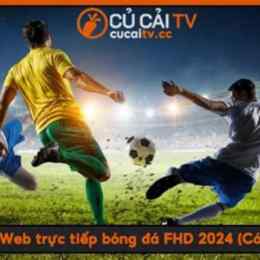 cucai tv bóng đá