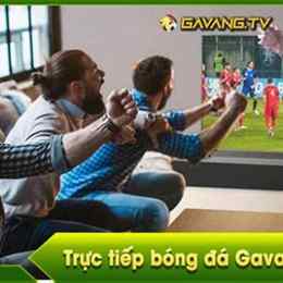 gà vàng trực tiếp bóng đá
