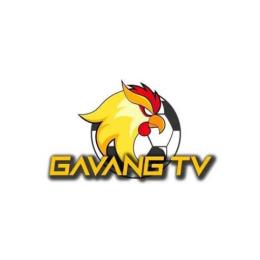 gà vàng tv bóng đá