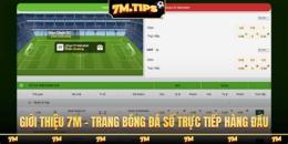 giao diện app 7m truc tiep bong da