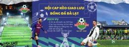 giao diện app bóng đá đà lạt