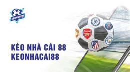 giao diện app bóng đá nhà cái 88