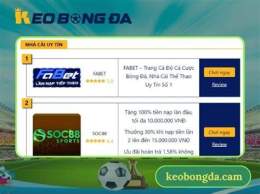 giao diện app bóng đá trực tiếp kèo nhà cái hôm nay