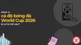 giao diện app cá độ bóng đá world cup 2026