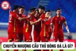 giao diện app chuyển nhượng bóng đá hải phòng