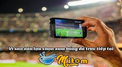 giao diện app đá bóng miễn phí