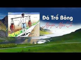 giao diện app đá trổ bông nguyễn ngọc tư