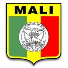 giao diện app đội tuyển bóng đá quốc gia mali