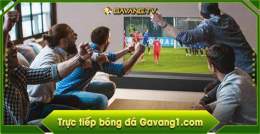 giao diện app gà vàng bóng đá