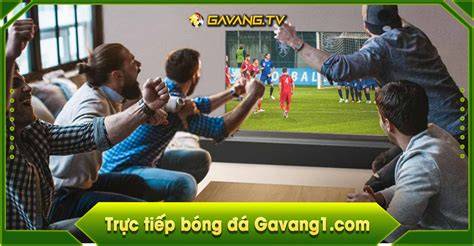 giao diện app gavang tv trực tiếp bóng đá