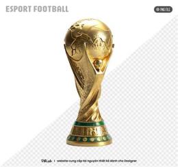 giao diện app hình ảnh cúp bóng đá