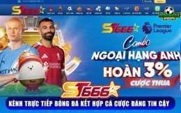 giao diện app kênh bóng đá trực tiếp hôm nay