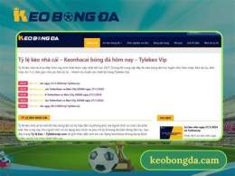 giao diện app kèo bóng đá tv vip