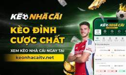giao diện app keo nhà cái bóng đá hôm nay