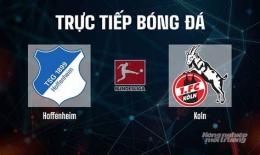giao diện app kết quả bóng đá hoffenheim