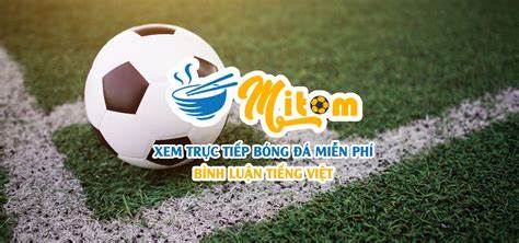 giao diện app mitom bóng đá trực tiếp