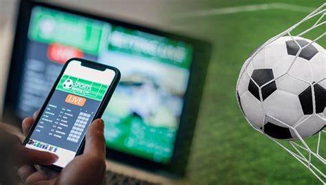 giao diện app soi kèo bóng đá plus