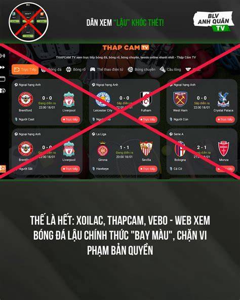 giao diện app thapcam bóng đá