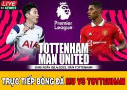 giao diện app trực tiếp bóng đá tottenham hôm nay