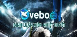 giao diện app trực tiếp bóng đá vebo