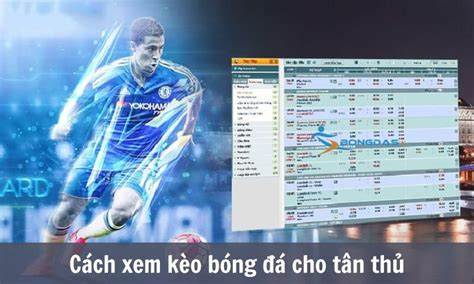 giao diện app tỷ lệ cược bóng đá ý