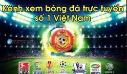 giao diện app xem bong da truc tiep online