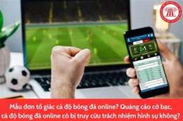 hướng dẫn sử dụng app cá độ đá bóng