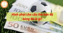 hướng dẫn sử dụng bán độ bóng đá là gì