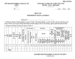 hướng dẫn sử dụng báo bóng đá 24