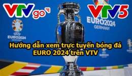hướng dẫn sử dụng bóng đá euro