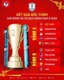 hướng dẫn sử dụng bóng đá hyundai cup