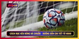 hướng dẫn sử dụng bóng đá kèo 88