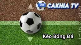 hướng dẫn sử dụng bong da keo ca cuoc hom nay