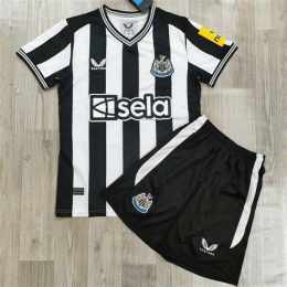hướng dẫn sử dụng bóng đá newcastle