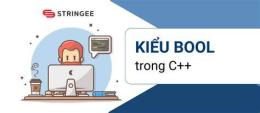 hướng dẫn sử dụng bóng đá số - dữ liệu 2 gon