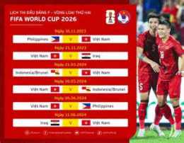 hướng dẫn sử dụng bóng đá thế giới năm 2026