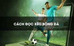 hướng dẫn sử dụng bóng đá tỷ lệ bóng đá