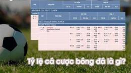 hướng dẫn sử dụng bóng đá tỷ lệ cá cược