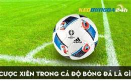 hướng dẫn sử dụng bóng đá tỷ lệ nhà cái