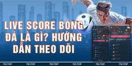 hướng dẫn sử dụng bóng đá tỷ số trực tuyến